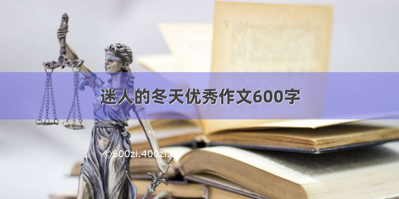 迷人的冬天优秀作文600字