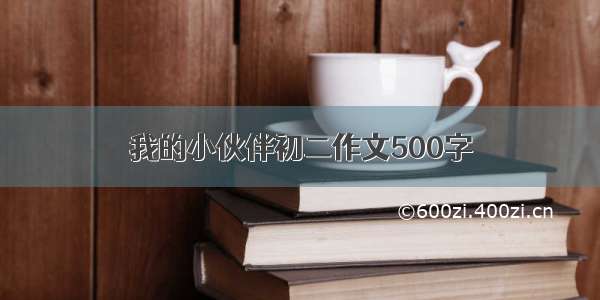 我的小伙伴初二作文500字