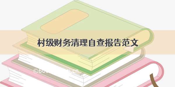 村级财务清理自查报告范文