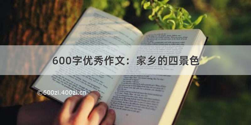 600字优秀作文：家乡的四景色