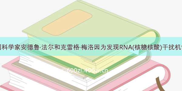 单选题美国科学家安德鲁·法尔和克雷格·梅洛因为发现RNA(核糖核酸)干扰机制而获得20