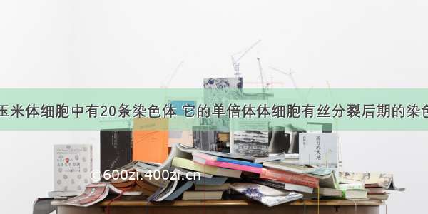 单选题正常玉米体细胞中有20条染色体 它的单倍体体细胞有丝分裂后期的染色体数是A.10