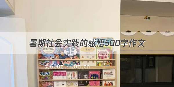 暑期社会实践的感悟500字作文