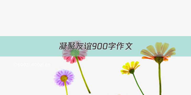 凝聚友谊900字作文