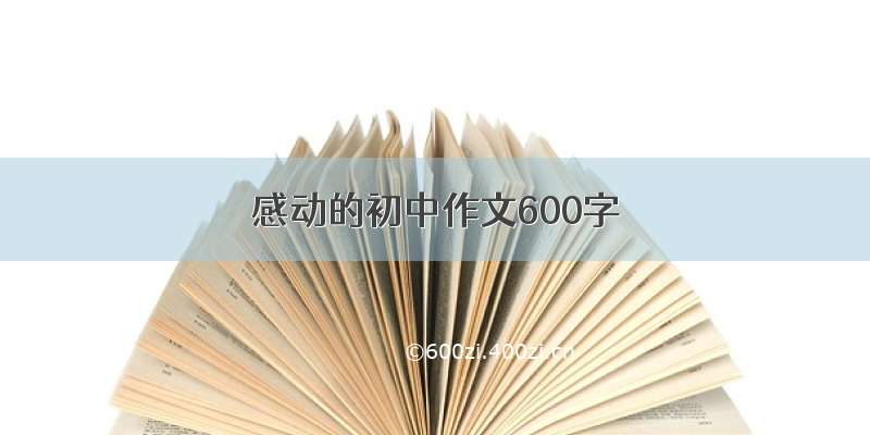 感动的初中作文600字