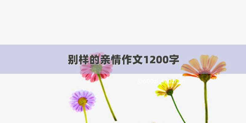 别样的亲情作文1200字