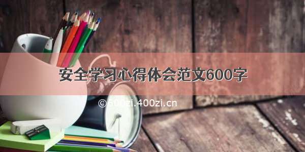 安全学习心得体会范文600字