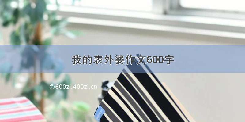 我的表外婆作文600字