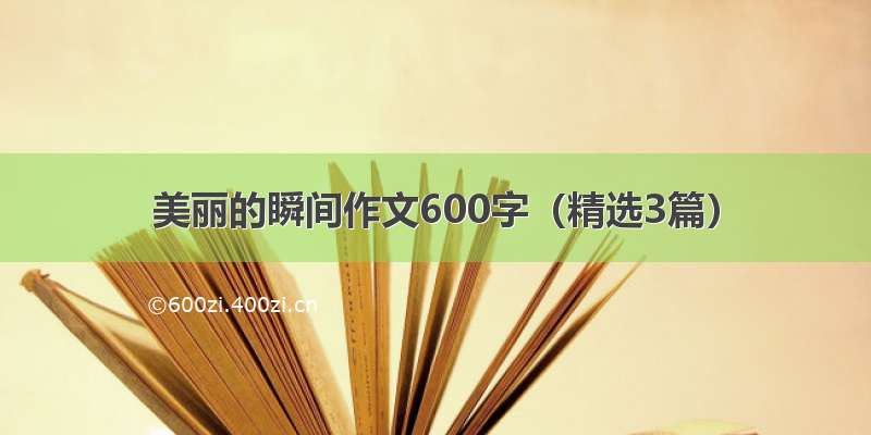 美丽的瞬间作文600字（精选3篇）