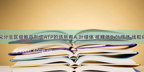 单选题根尖分生区细胞内形成ATP的场所有A.叶绿体 核糖体B.叶绿体 线粒体C.线粒体