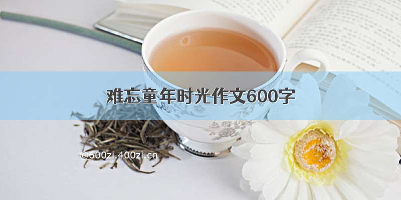 难忘童年时光作文600字