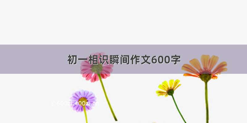 初一相识瞬间作文600字