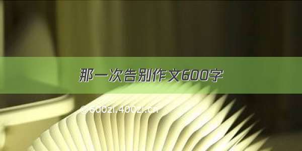 那一次告别作文600字