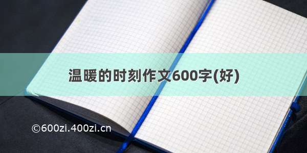 温暖的时刻作文600字(好)