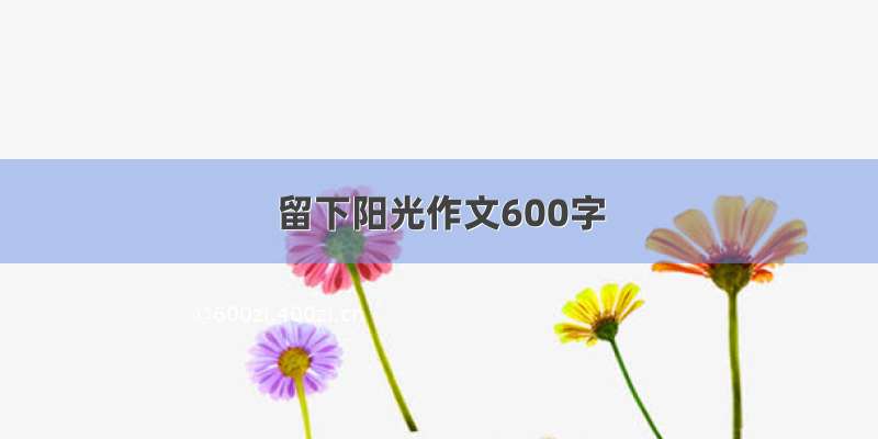 留下阳光作文600字