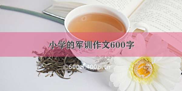 小学的军训作文600字