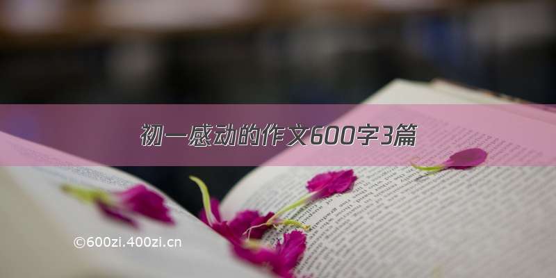 初一感动的作文600字3篇